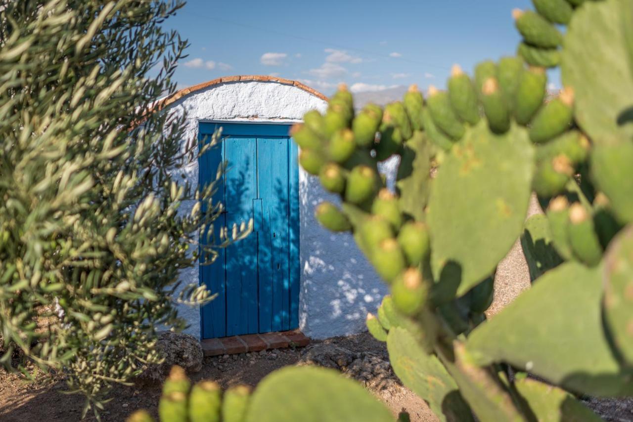 Al Agia - Mirador De Los Quinientos Padul Exterior foto